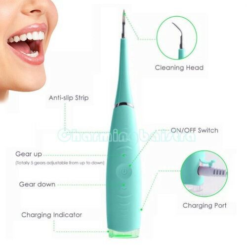 oral sonic
